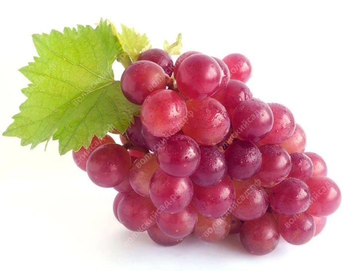 Виноград тайфи красный
