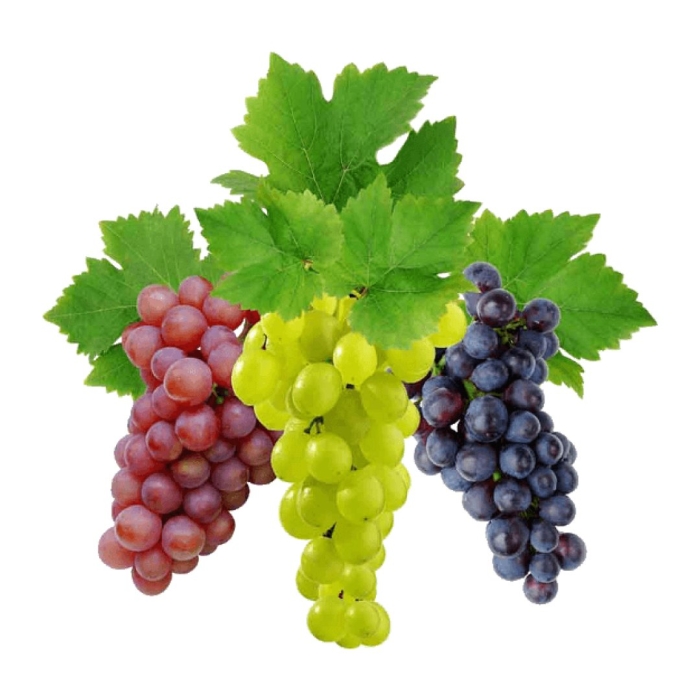 Виноград сорт