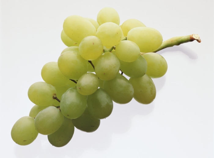 Виноград зеленый
