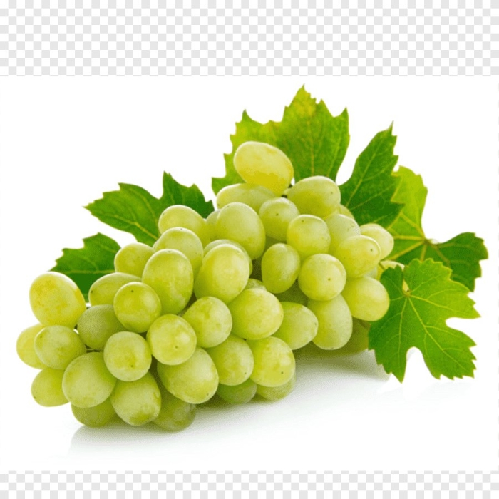 Мускат белый виноград