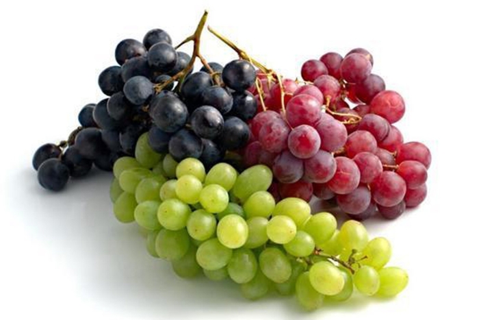 Виноград чауш