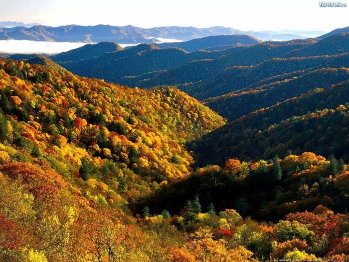 Северная каролина грейт-смоки-маунтинс