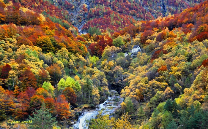 Осенние пейзажи