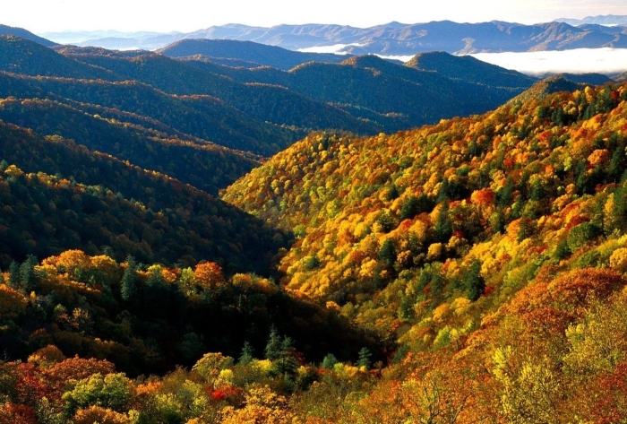 Национальный парк грейт смоки маунтинс