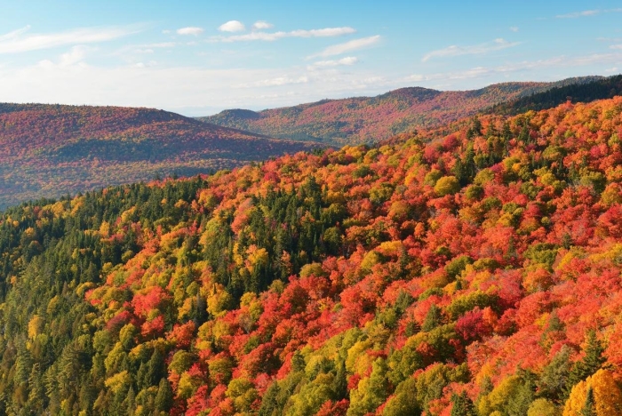 Лаврентийская возвышенность канада