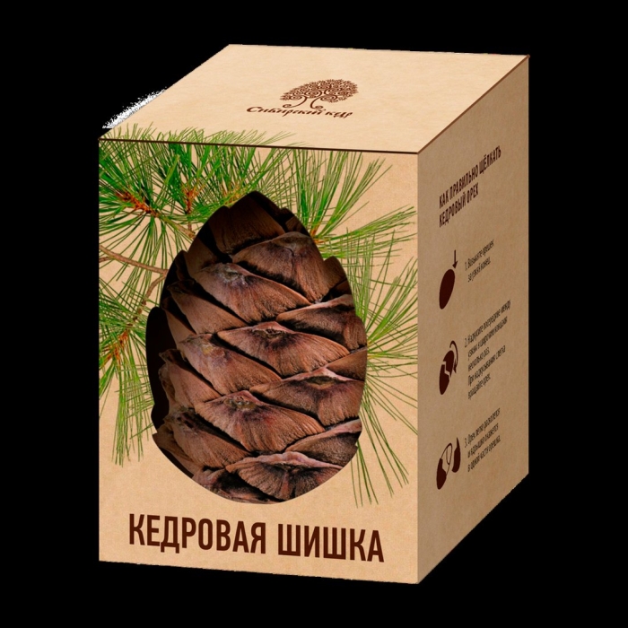 Сибирский кедр кедровая комета с сосновой шишкой