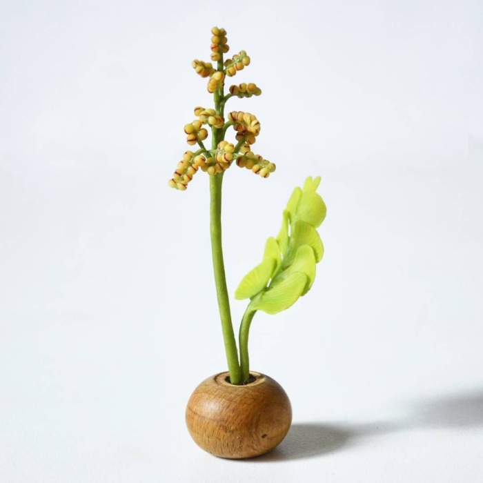 Гроздовник полулунный