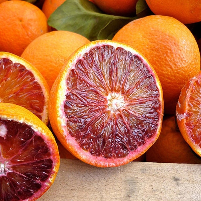 Кровавый сицилийский апельсин