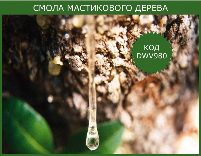 Смола дерева