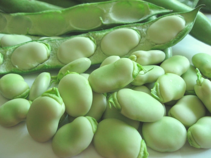 Фасоль бобы