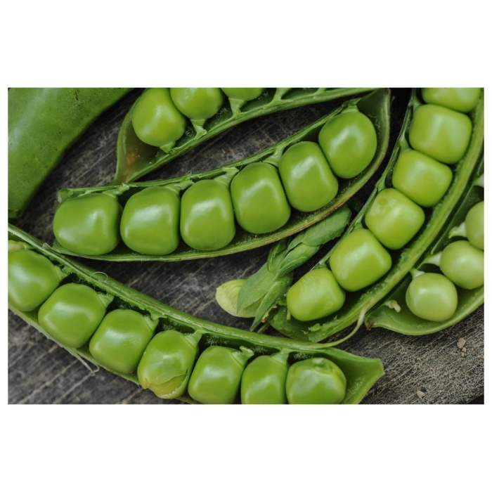 Горох овощной