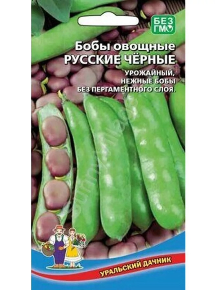 Бобы русские черные