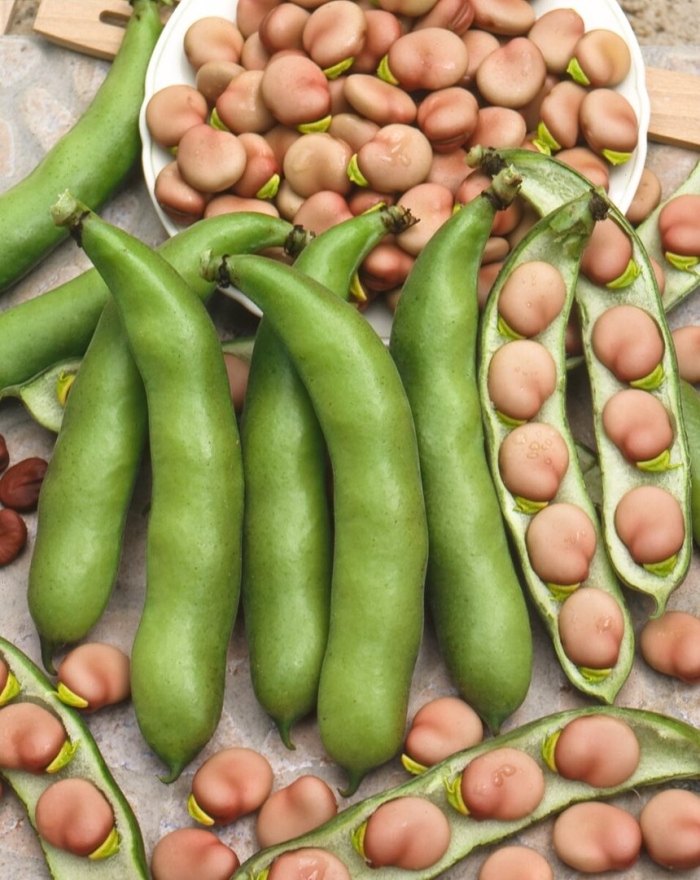 Бобы овощные велена