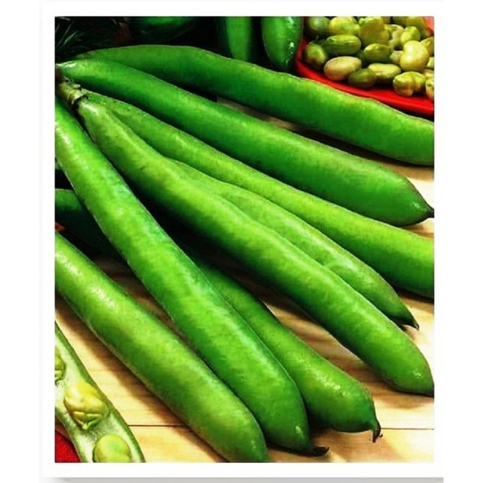Broad beans