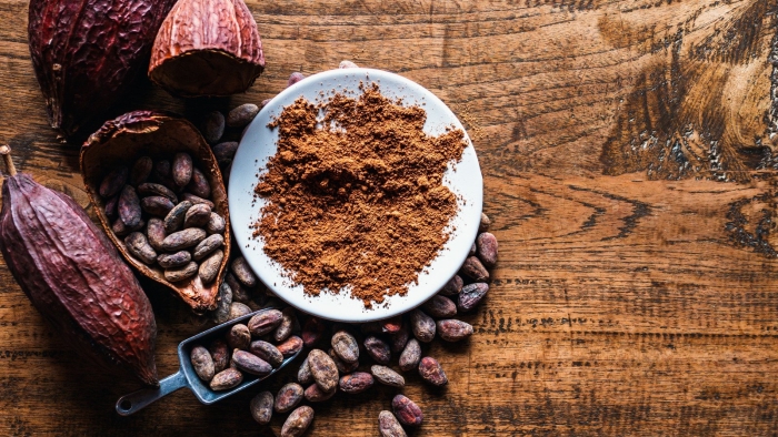 Какао порошок кот-д'ивуар