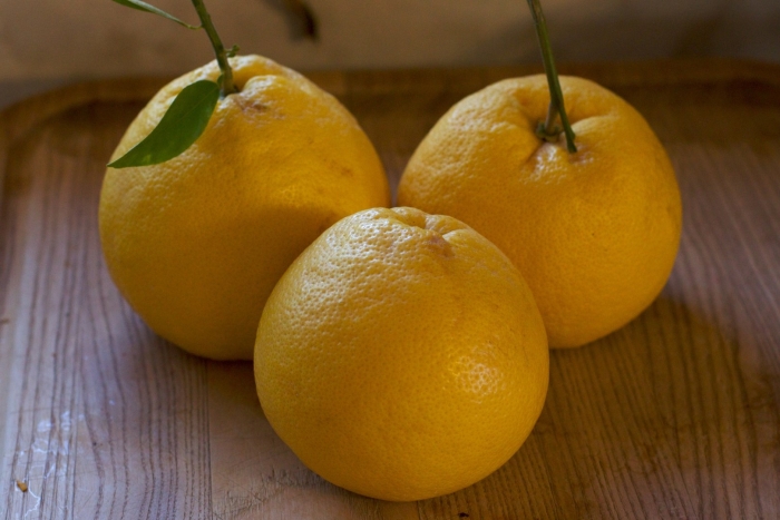 Лимон клементин