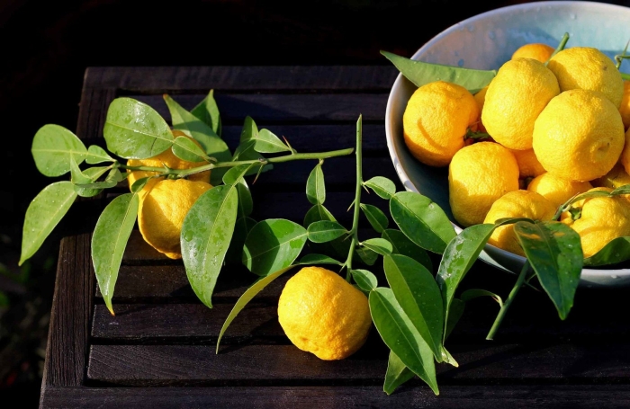 Растения цитрус