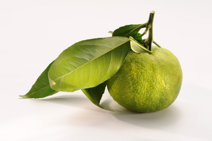 Зеленые апельсины