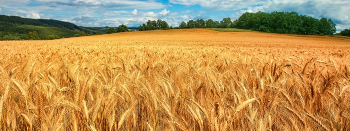 Сельского хозяйства