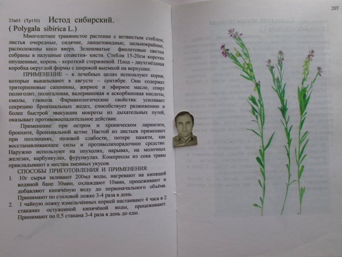 Энциклопедия растений