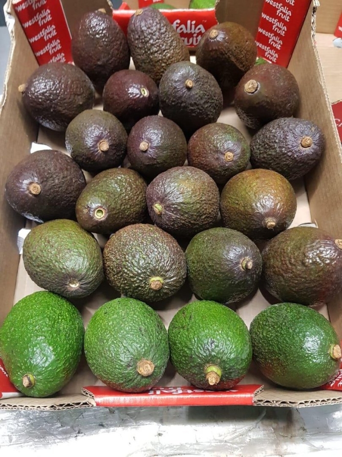 Спелое авокадо