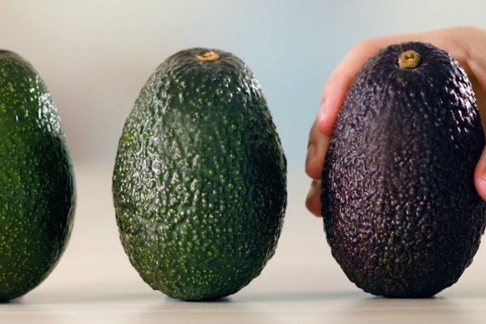 Авокадо аллигаторова груша спелый