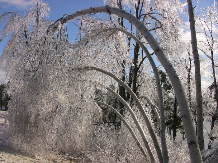 Ледяной дождь