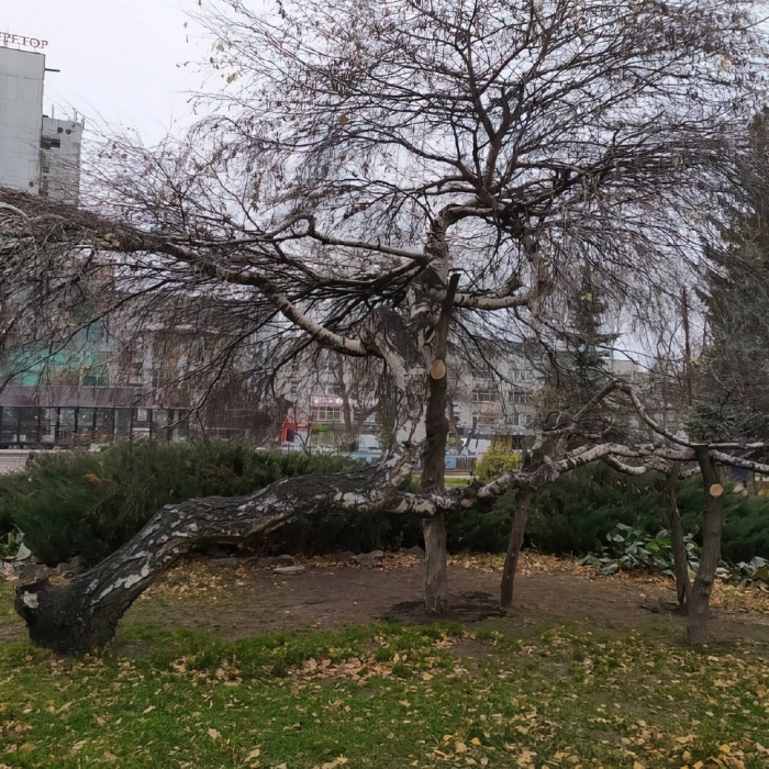 Первомайский сквер