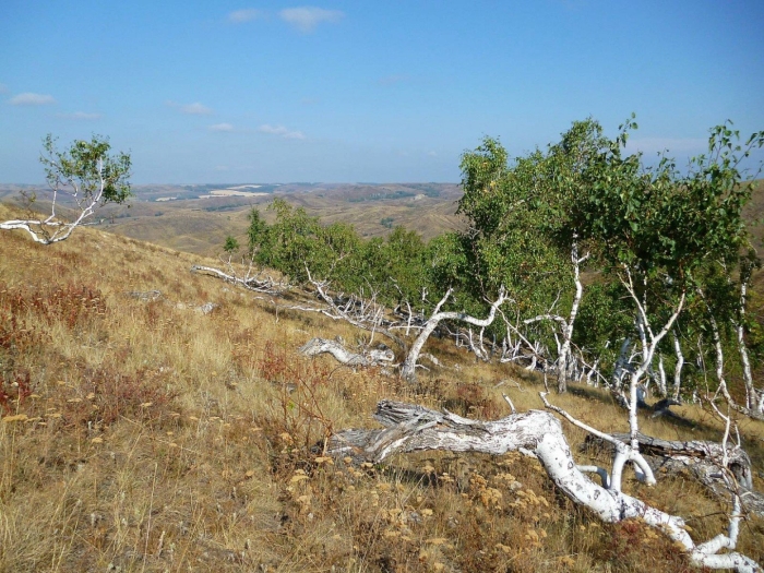 Медведицкая гряда чертово логово