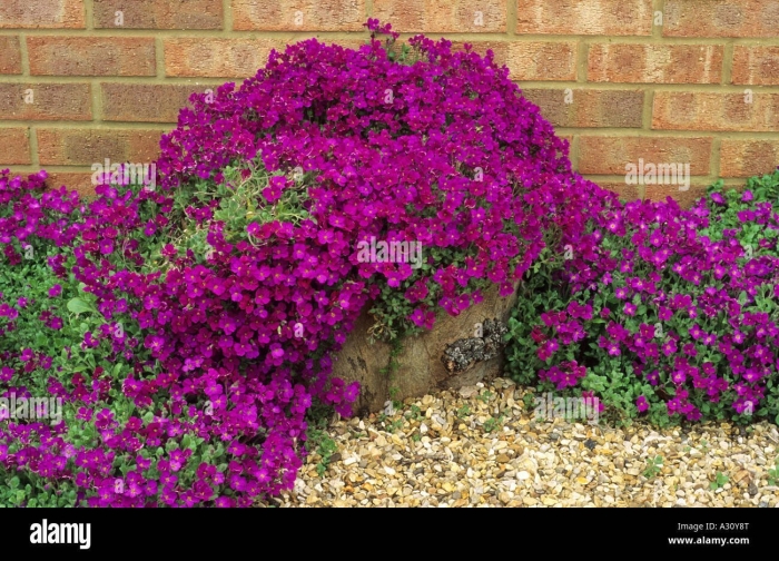 Обриета каскадная гигантский водопад