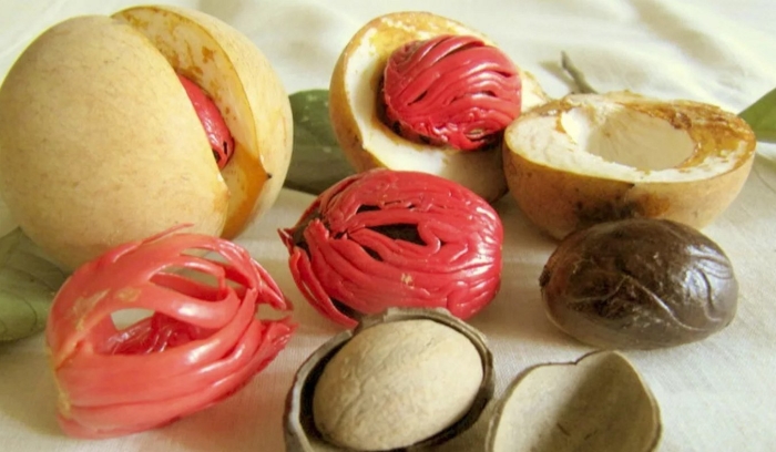 Nutmeg — мускатный орех