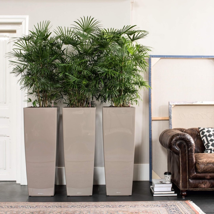 Кашпо лечуза кубико