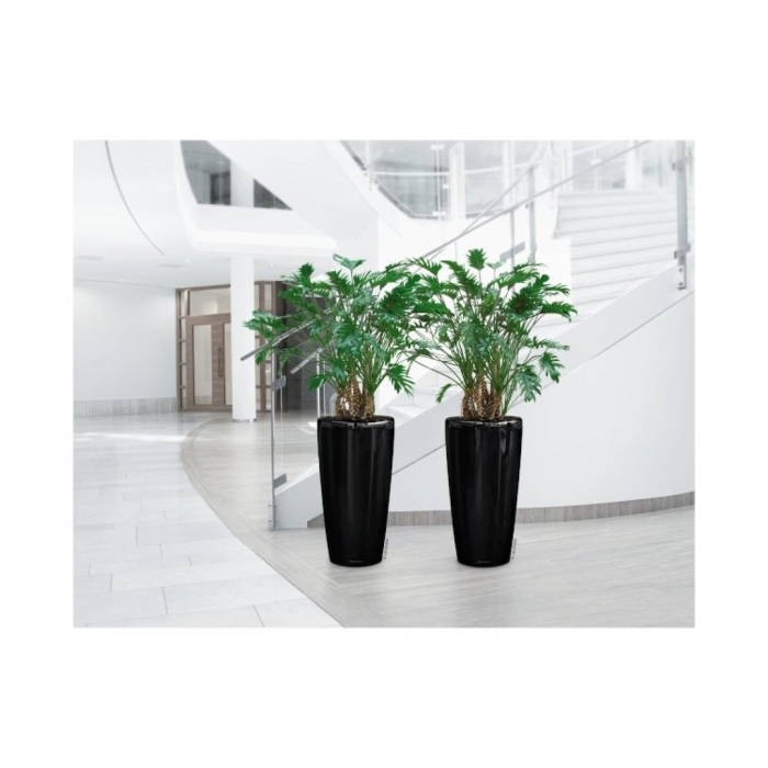 Кашпо лечуза рондо 32