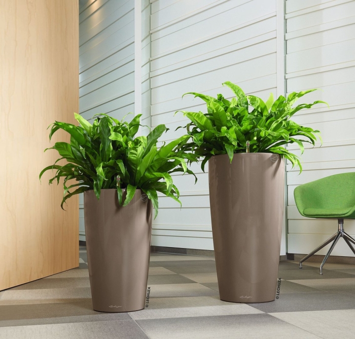 Кашпо лечуза рондо