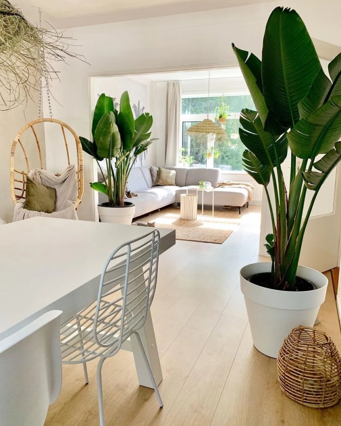 Стрелиция николая в интерьере