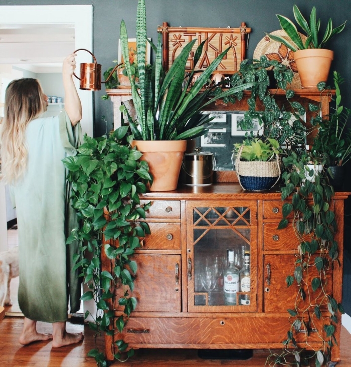 Сансевиерия голден флейм