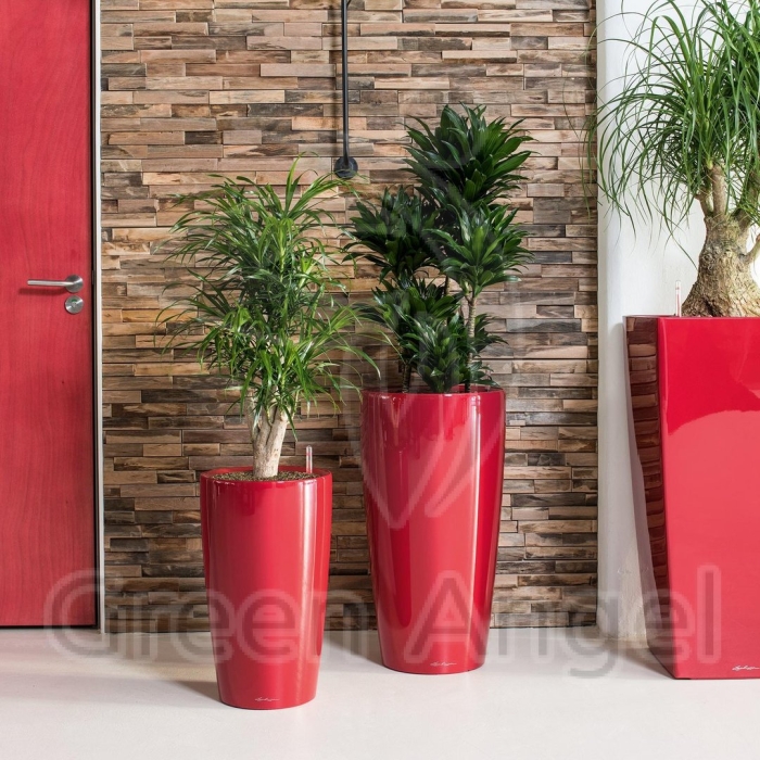 Кашпо lechuza rondo 40