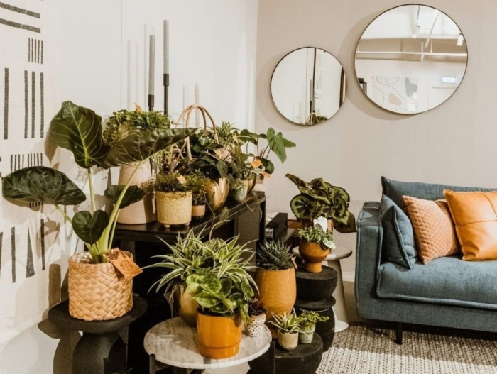 Растение в интерьере