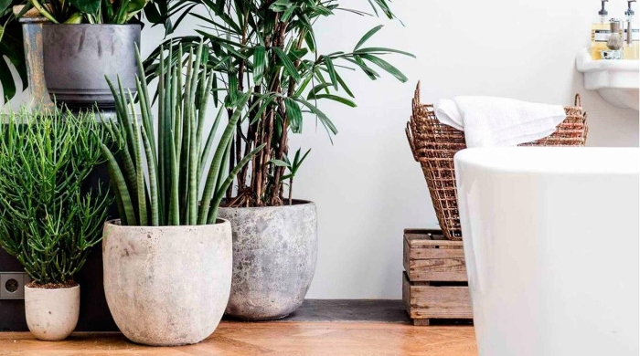 Кашпо в интерьере