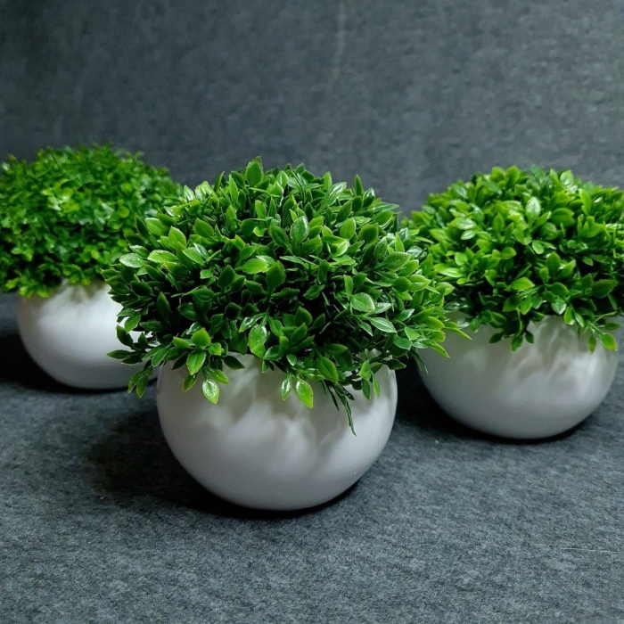 Искусственная растения