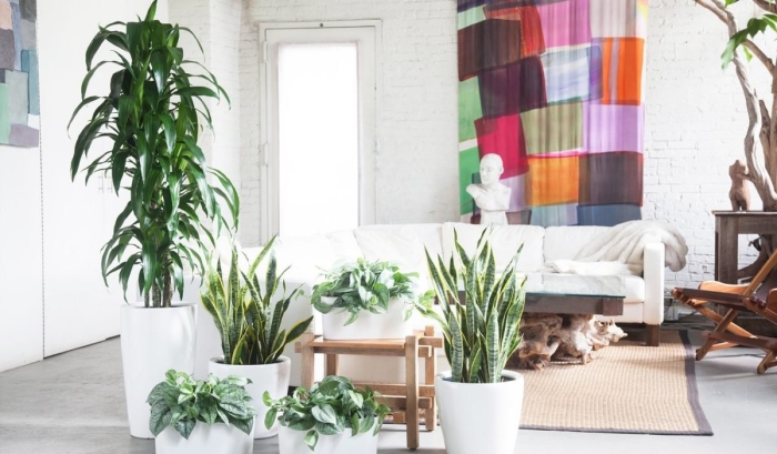 Цветок в интерьере