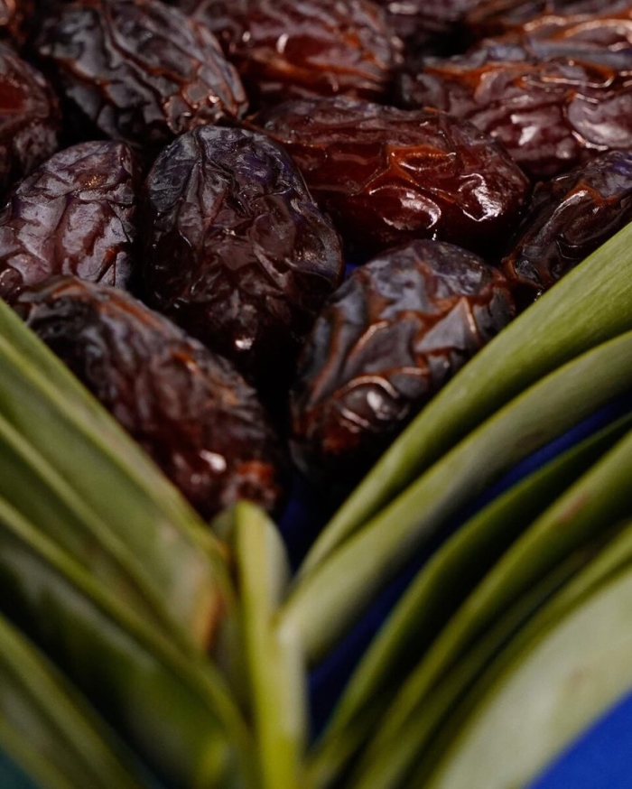 Финики меджул израиль