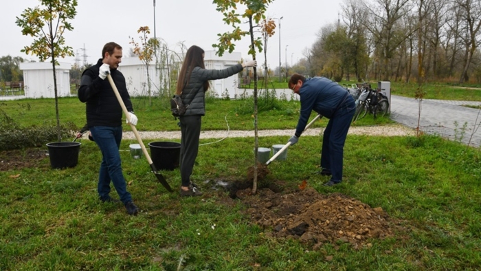 День древонасаждения