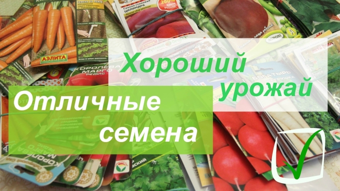 Какие хорошие семена