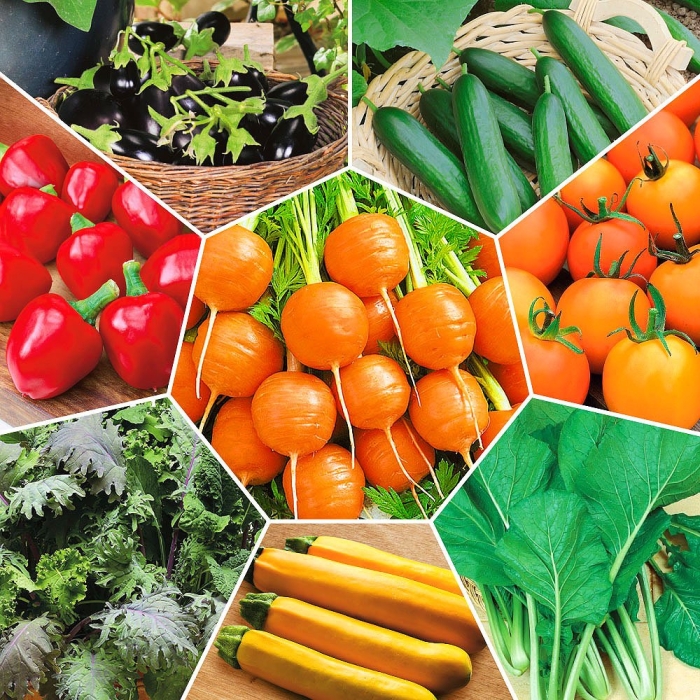 Семена для огорода