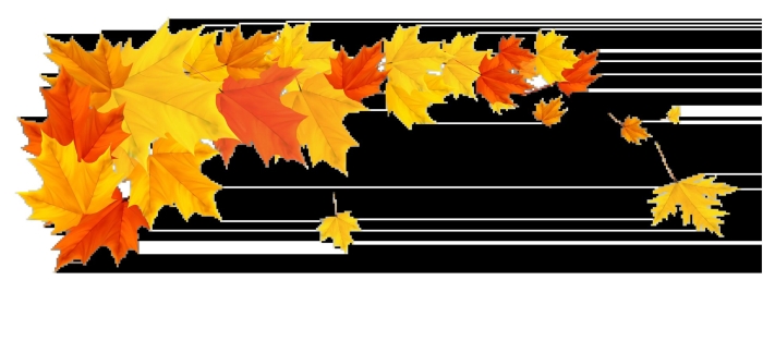 Осенние листья на прозрачном фоне