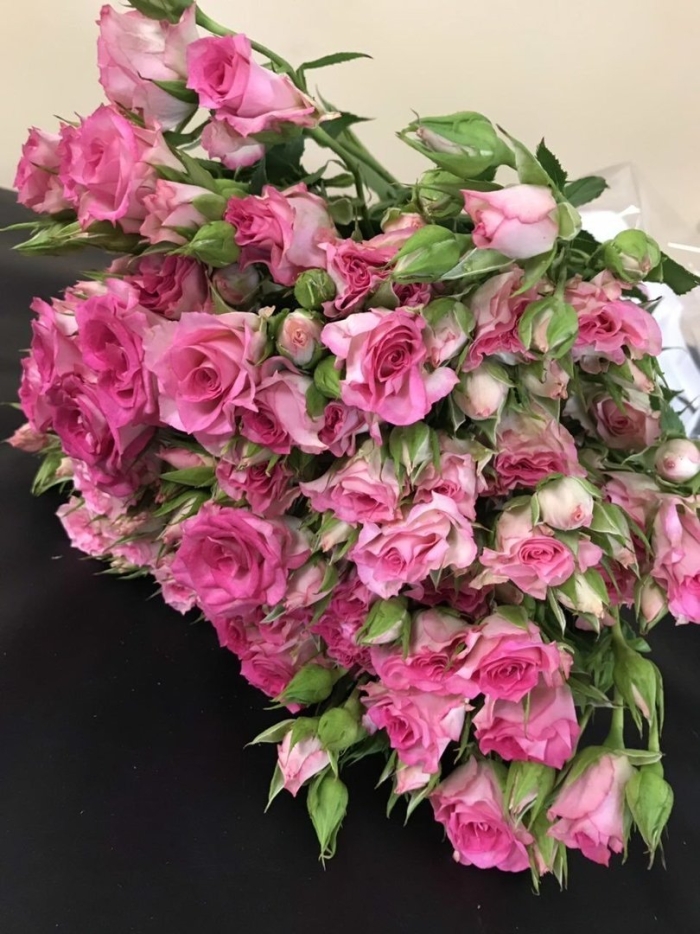 Кустовая роза