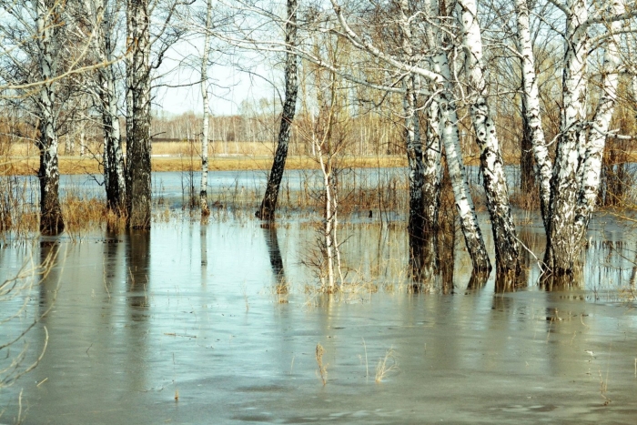 Ранней весной