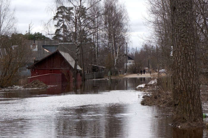 Новгородская область подтопление