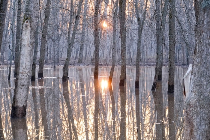 Весенний разлив плетеневки калуга